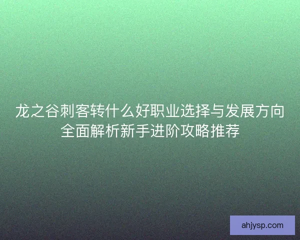 龙之谷刺客转什么好职业选择与发展方向全面解析新手进阶攻略推荐