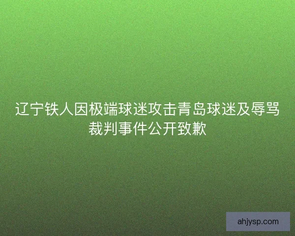 辽宁铁人因极端球迷攻击青岛球迷及辱骂裁判事件公开致歉