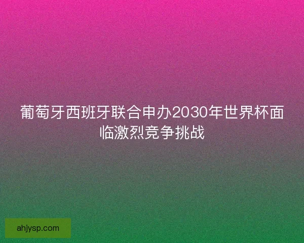 葡萄牙西班牙联合申办2030年世界杯面临激烈竞争挑战